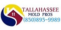 Tallahassee Mold Pros